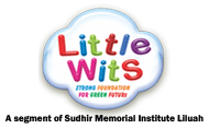 little wits logo